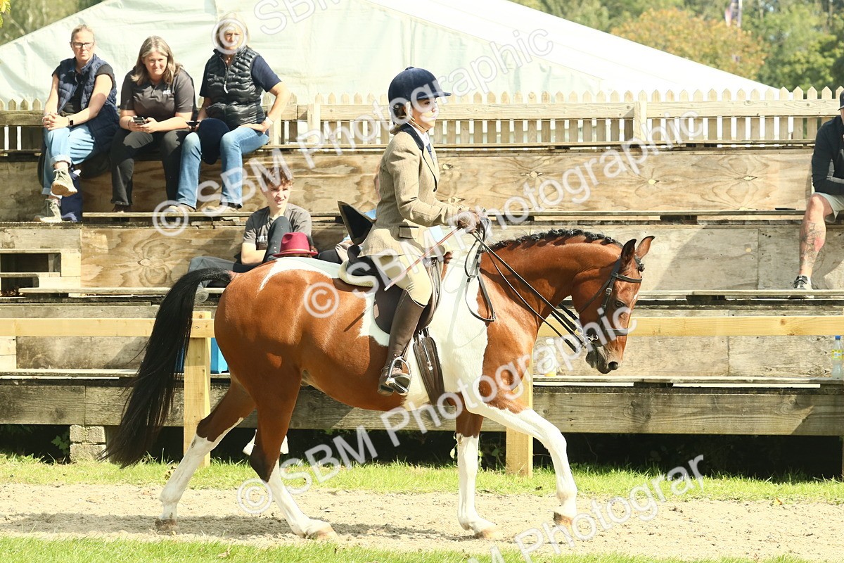 SBM_67501 - S56 - Coloured Pony Ridden