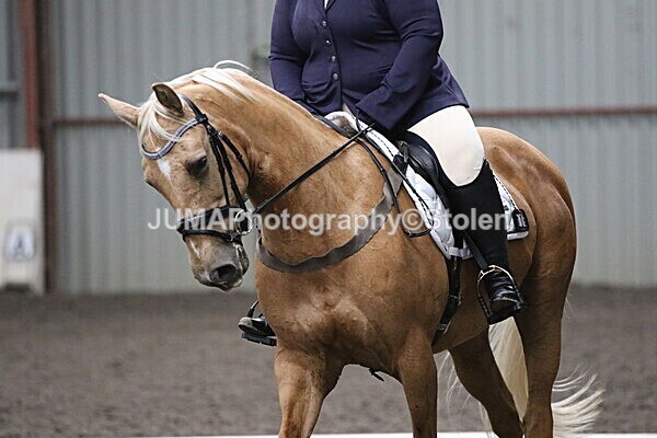 SIAL5471 - CAbin Dressage 5th july 2025