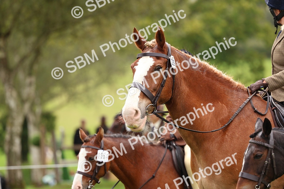 SBM_45108 - S27 - Young Veteran Ridden