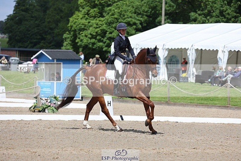 240523-113416-03552 - 219-HIT_CHAN_BOY_ALFA-Valentine_Emsens