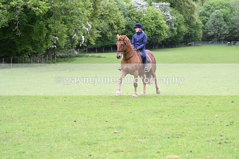 WJ7_2766 - Group 8 A&B Cameras