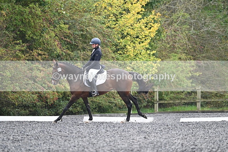 WJ7_3856 - Time 11:04 to 11:38