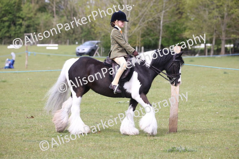 20260426-2906 - Class 33 - Best Pony 14.2hh and Under