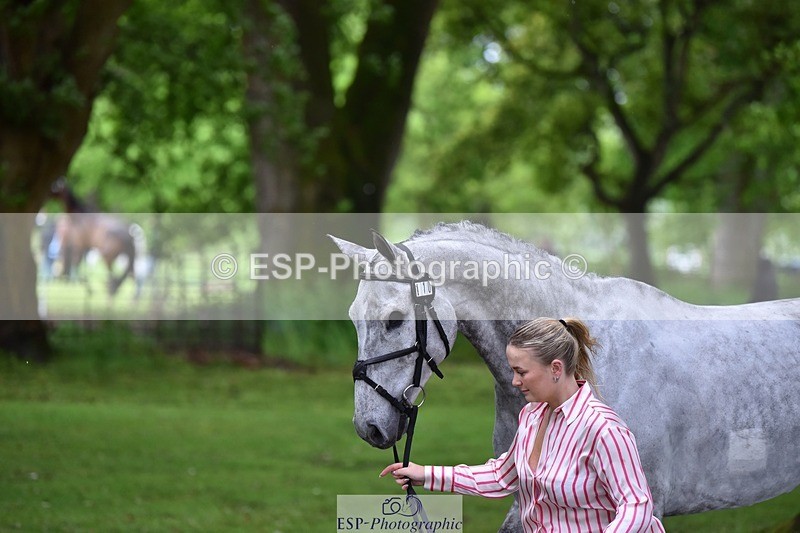 240522-155328-00558 - 110-CHATOON_S-Katie_Wrennall