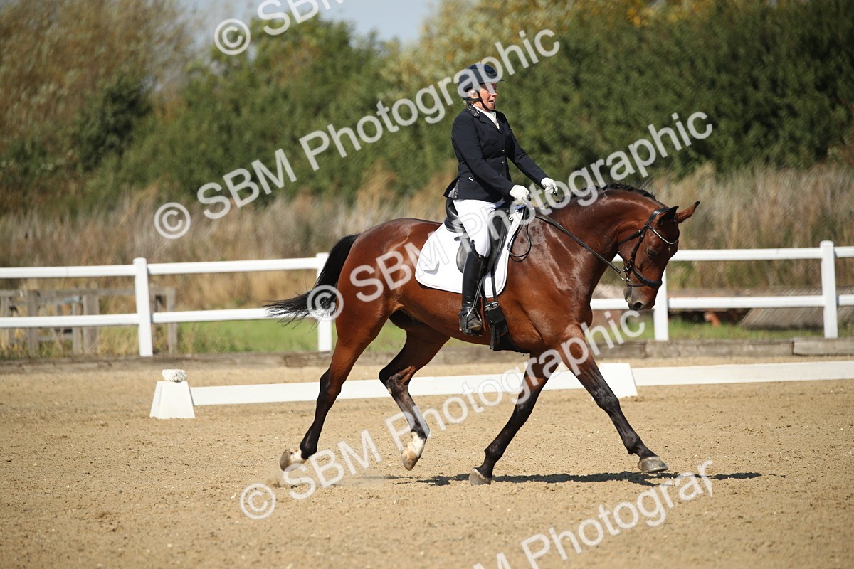 SBM_005001 - Class 11 - Novice 5 - 11.41-12.58