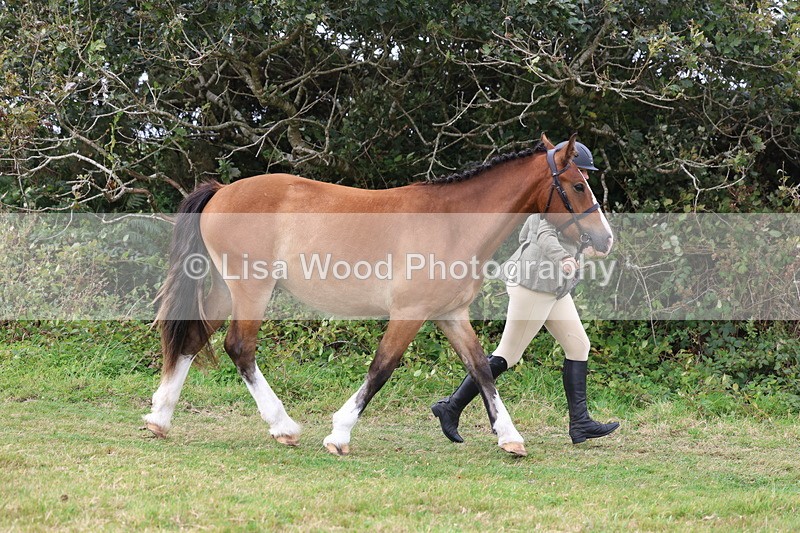 3E7A4533 - Class 16: Best Grass Kept