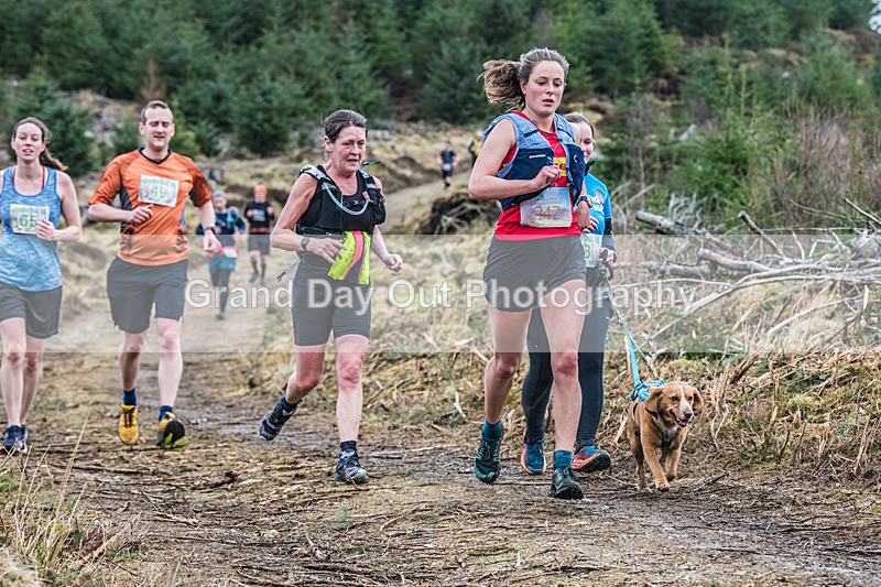 Glentress-1959 - High Terrain Events Glentress Marathon 21 & 10K Trail Races Sunday 18th February 2024