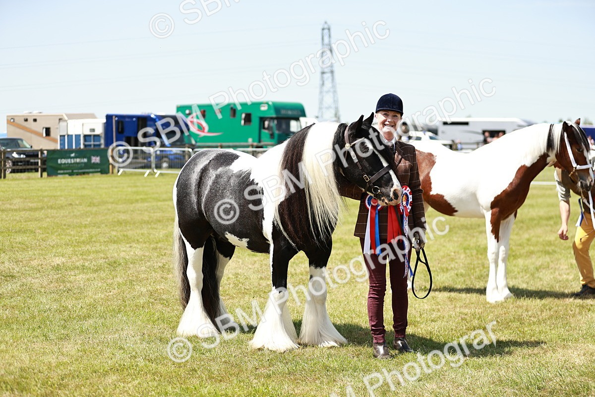 SBM_05521 - Class 41-45 - Riding Pony-Hunter Pony Breeding
