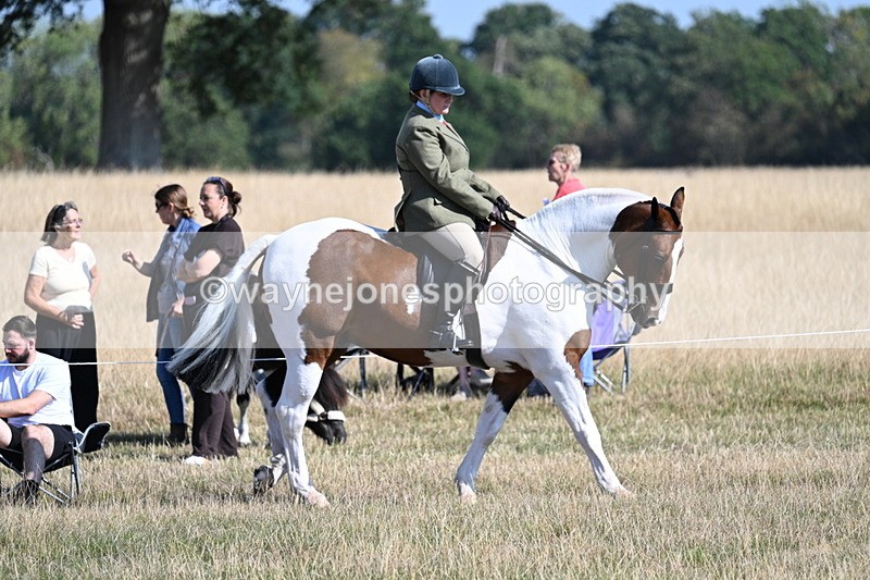 WJ7_3042 - Class 8 Ridden Tack & Turnout