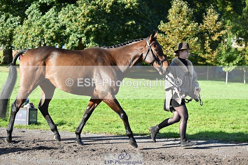 231022-105704-23612 - 501-LA.BASS-Aimee.Bickley-TrotUp+SJ