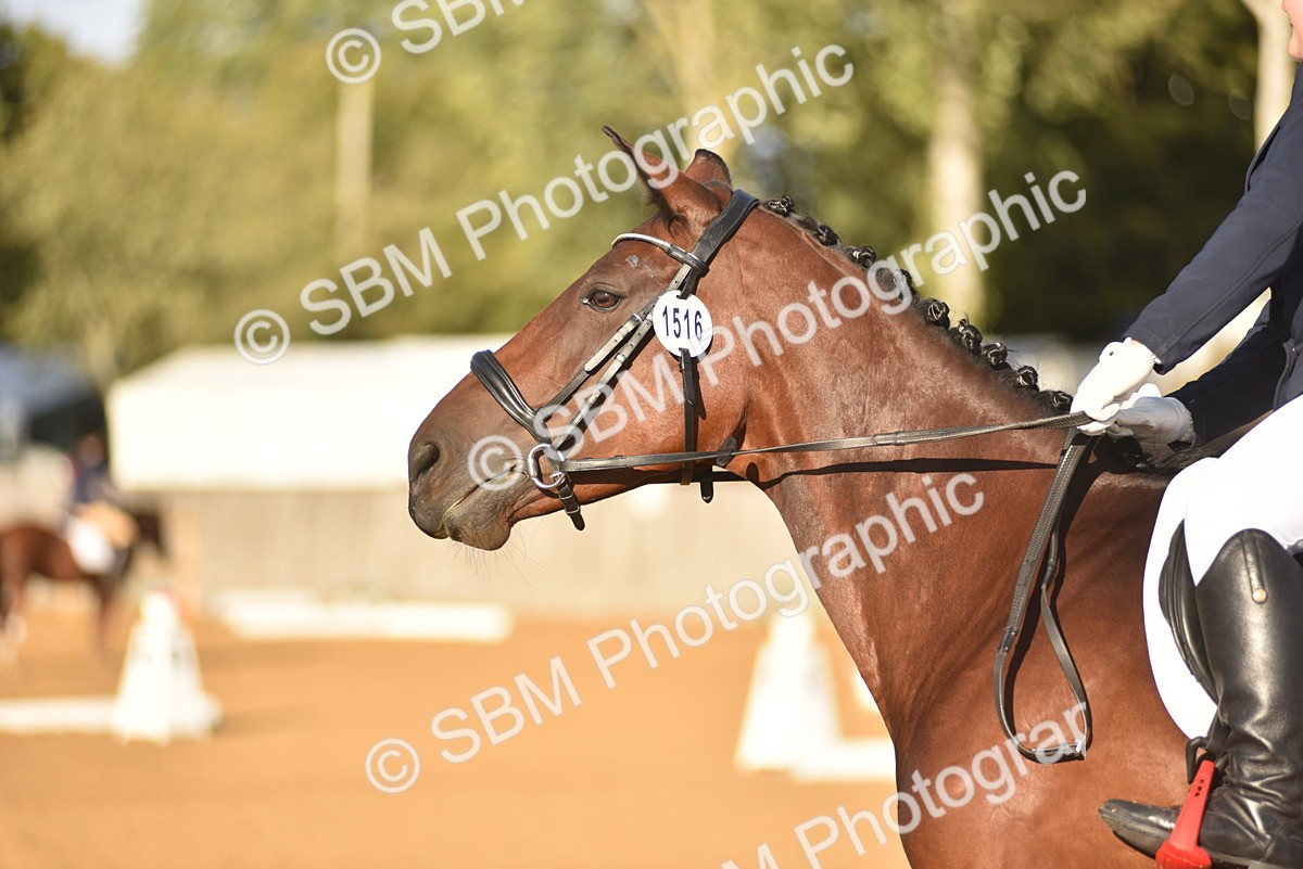 SBM_53370 - D24 - Junior Championship Prelim 3