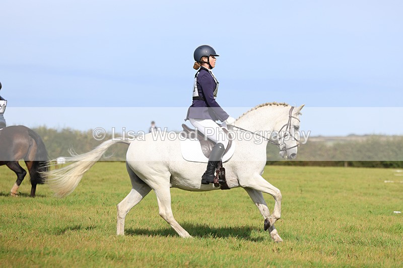 3E7A6248 - Class 1: Trebudannon Open: Dressage (Part 2)