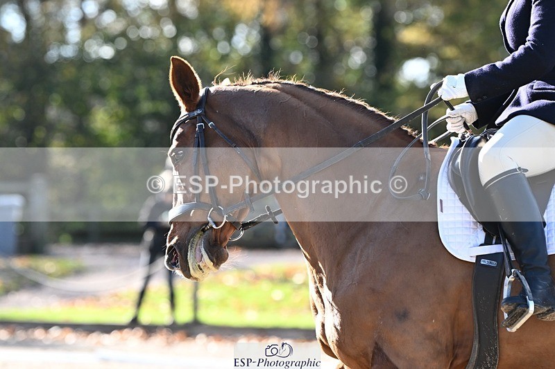 231110-122221-00674 - Cls 3 Novice 22