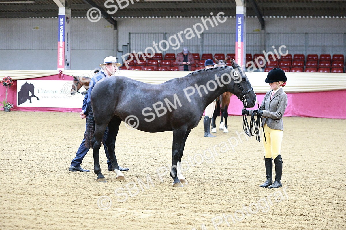 SBM_00224 - Class 1A - Area IH Diamond