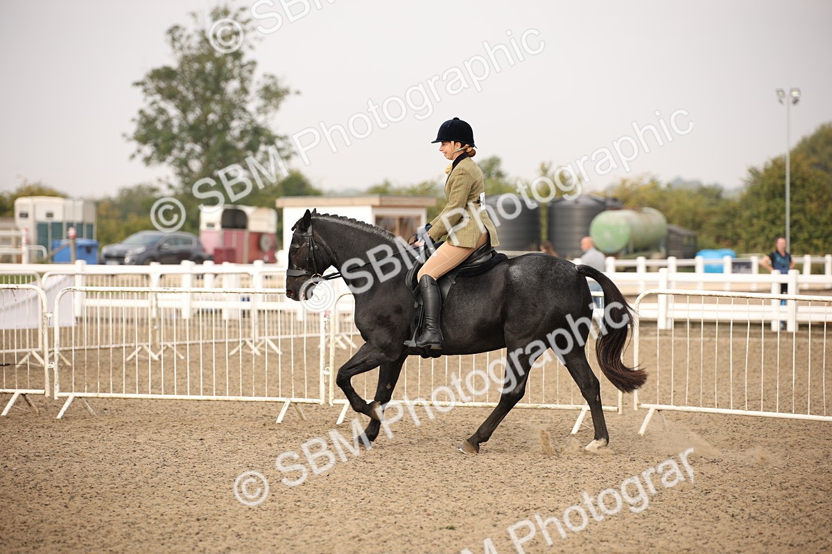 SBM_09773 - Class 401 Riding Club Pony