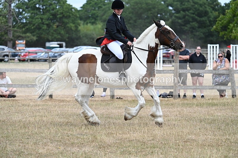 WJ7_1384 - Class 8 Ridden Veterans