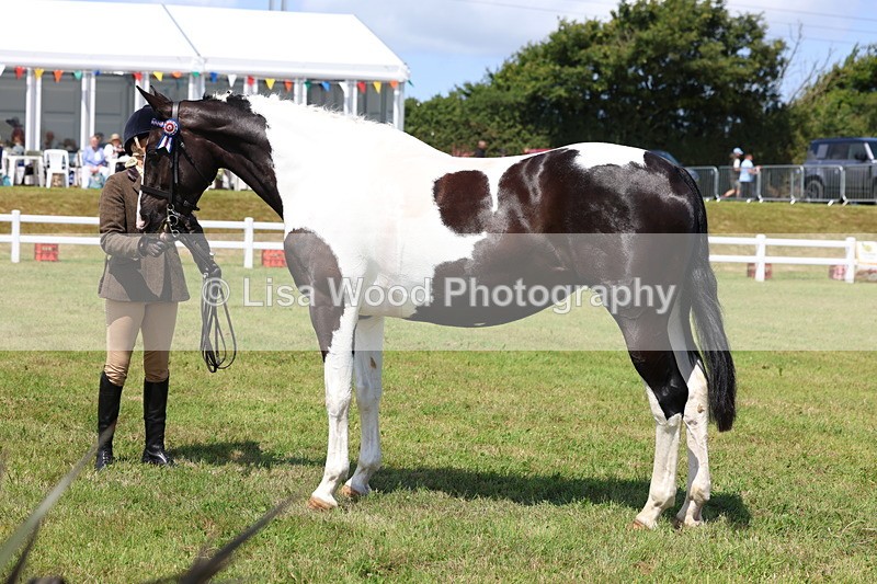 3E7A1218 - Class 8: Open Riding Horse/Hack