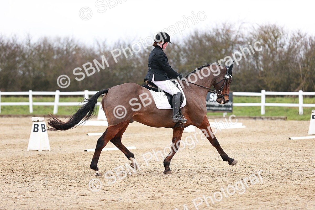 SBM_005185 - Elementary 1