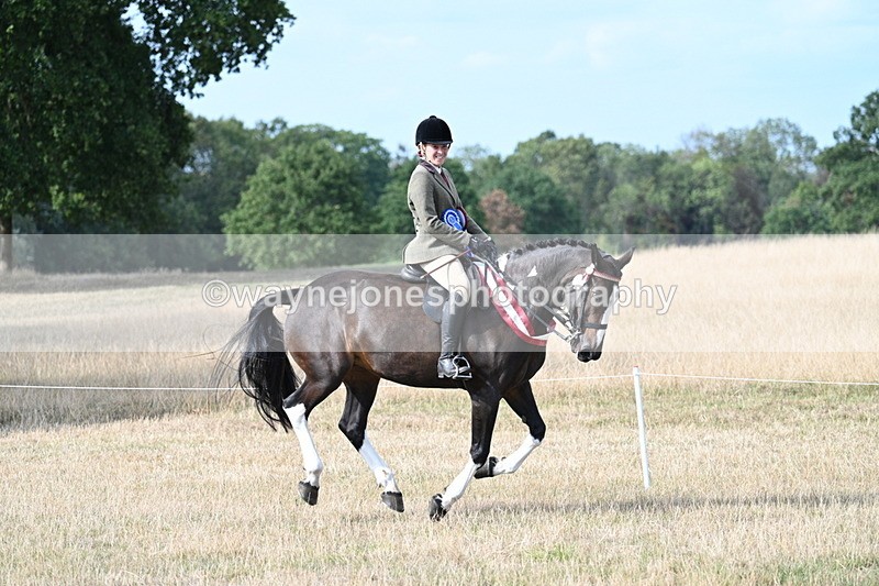 WJ7_7871 - Ridden Championship