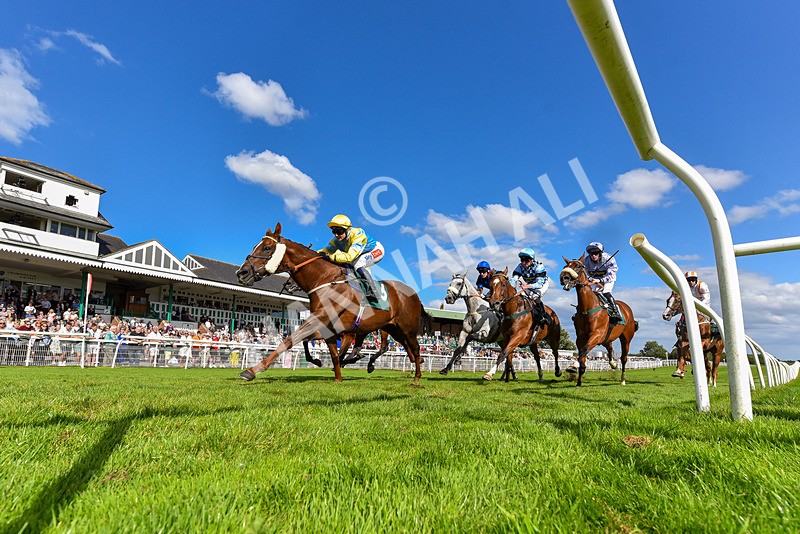 060824-Race 5-Jamih-2-2 - Race 5