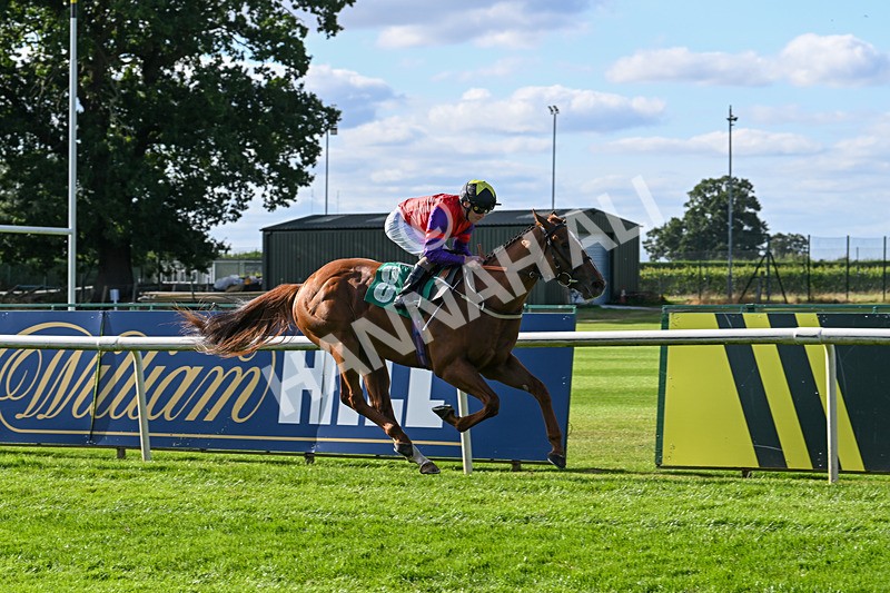 160824-Race 1-Thunder Wonder-8822 - Race 1