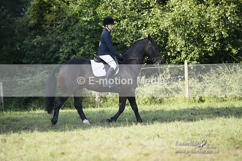BVRC 120921 136 - Bourne Valley Riding Club UA Dressage & Show Jumping 12/09/21
