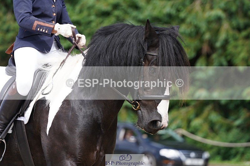 240721-144846-09844 - 320-Louise_Pearce-Wellshead_Duke