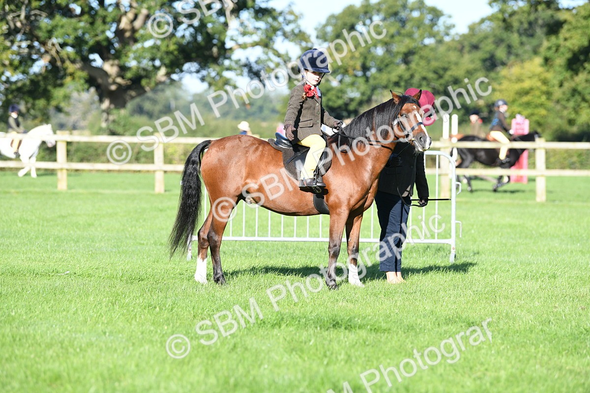 SBM_35347 - S17 - Condition & Turnout - Lead Rein