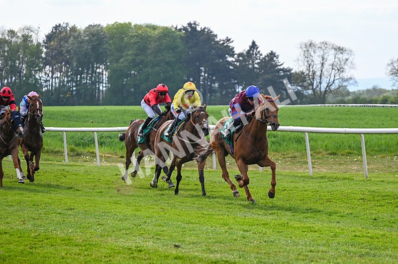 020526-Race 7-Rising Force-0246 - Race 7 5.00pm Sky Bet Irish Day Saturday 16th May Book Now Handicap