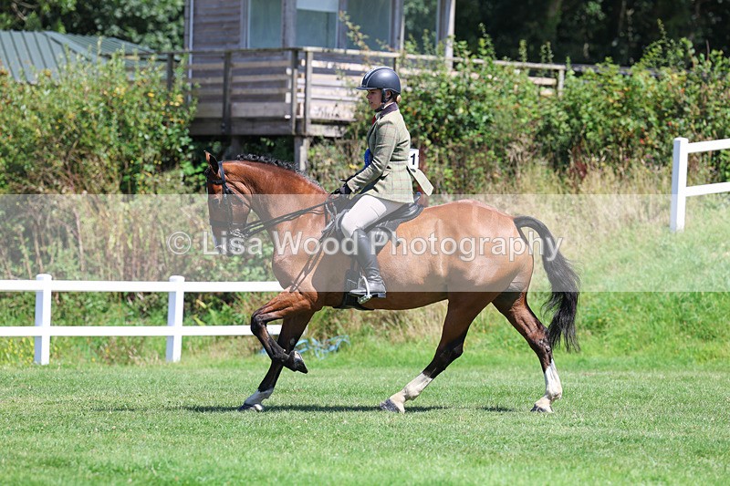 3E7A9191 - Working Hunter Championship