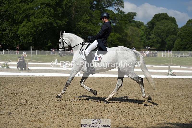 230525-103746-01756 - 314-CHANTILLY_AMATULLAH-Gaspard_Maksud-WEDTrotUp+DR