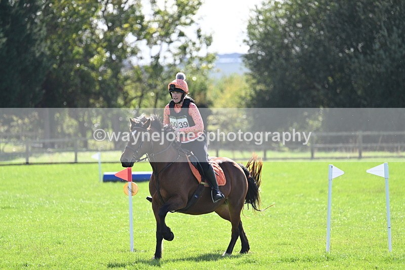 WJ7_1279 - Time 13:56 to 14:24