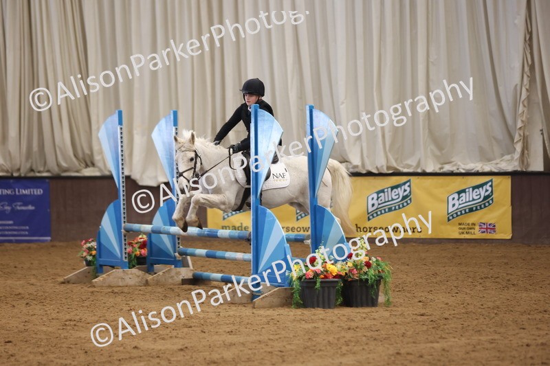 20260314-3254 - 80cm