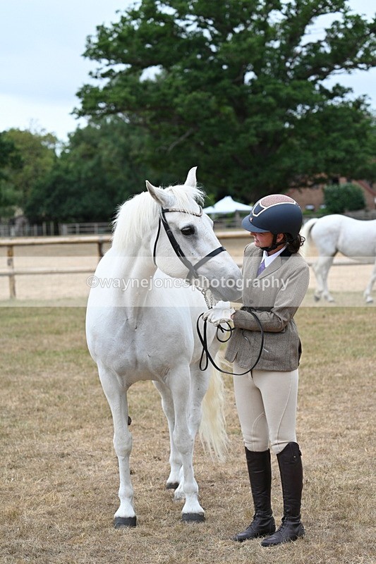 WJ7_9097 - Class 4a Prettiest Mare 14.2hh and over