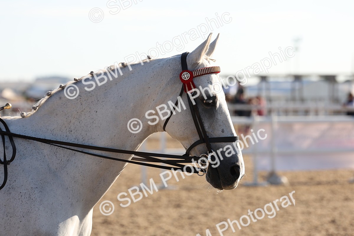 SBM_10867 - Class 202 - Best Turned Out - Ridden