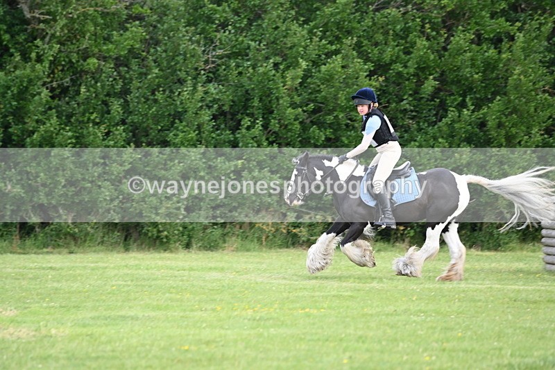 WJ6_2701 - Class 2 40cm