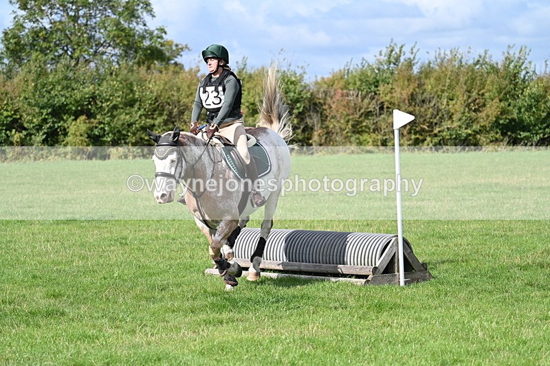 WJ7_8993 - Time 11:10 to 11:53