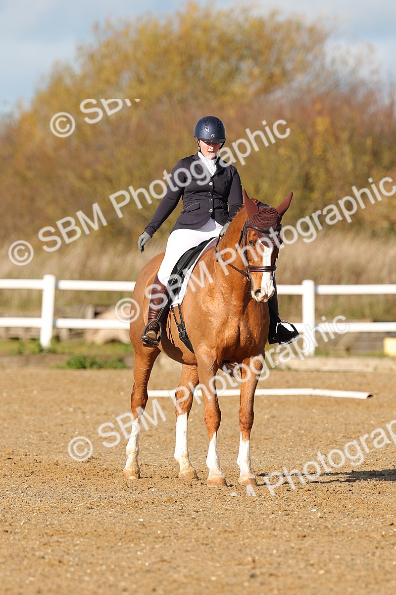 SBM_000569 - Novice 4
