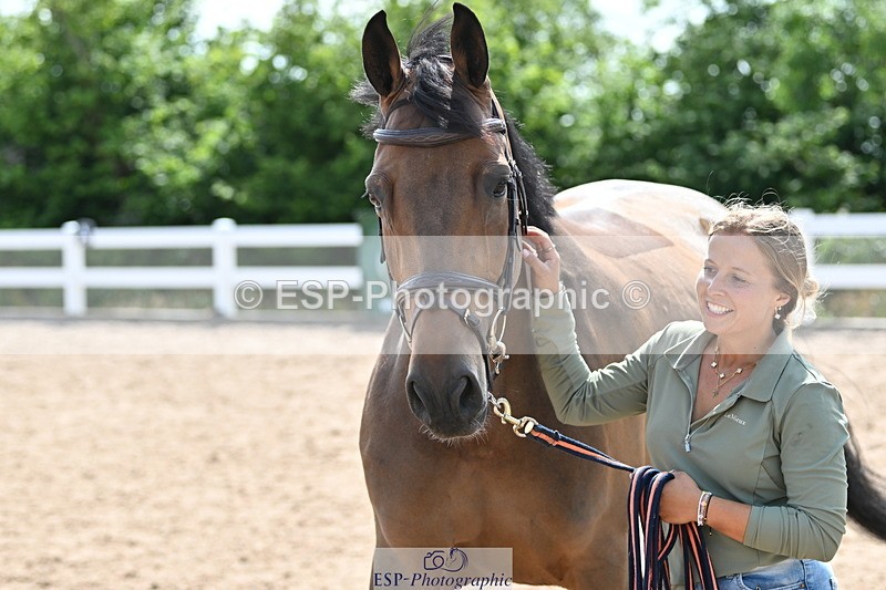 240717A-154957-03081 - Trot Up 3pm to 4pm