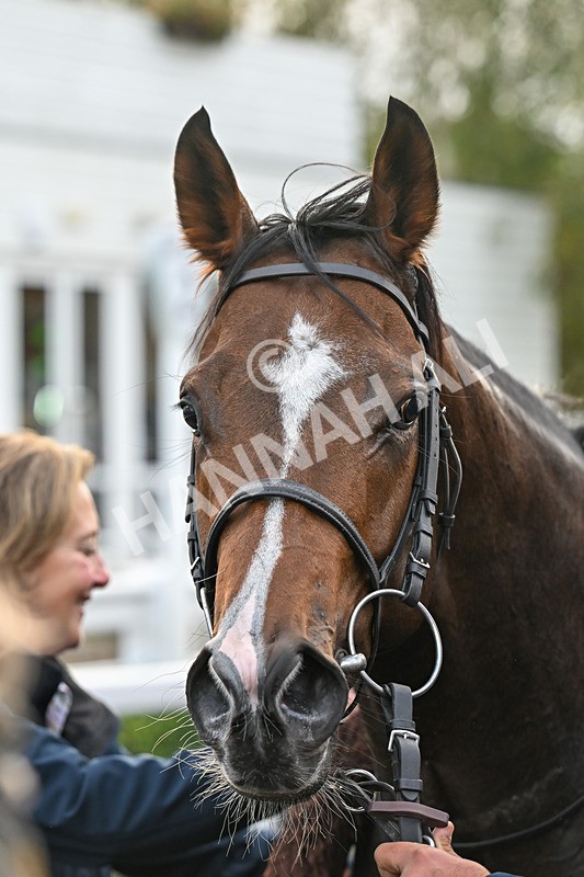 171026-Race 7-Lexington Blitz-6497 - Race 7 4.45pm William Hill Catterick Dash Handicap