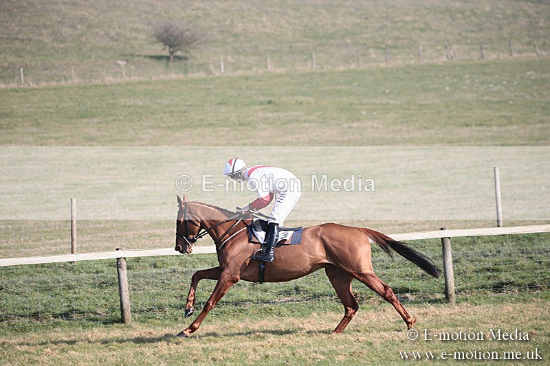 PtP 230219 178 - Vine & Craven Point-To-Point - Barbury 23/02/19