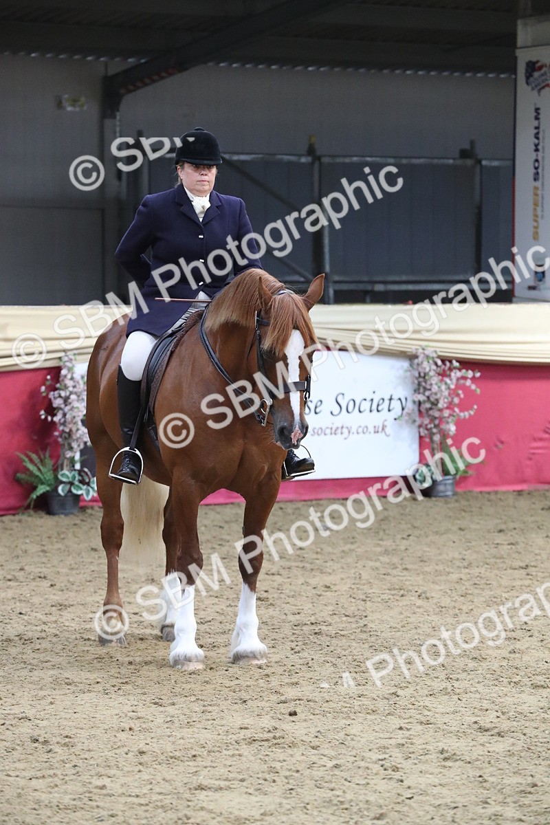 SBM_17202 - M&M Supreme Final Champ