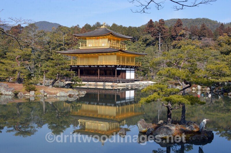 Japan Kyoto Golden Temple - Japan