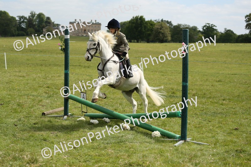 20250517-3000 - Class 25 - Horse & Hound