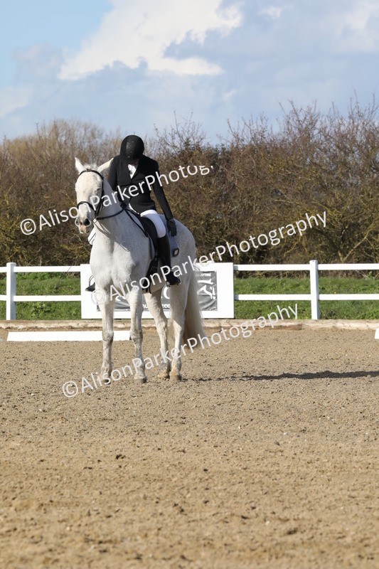 20260314-5125 - CT6 - Elementary 1