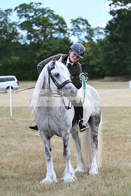 WJ7_5715 - Class 12 Ridden Cob