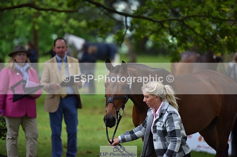 240522-165310-01225 - 276-FOURFIELDS_WONDER_WOMAN-Heidi_Coy