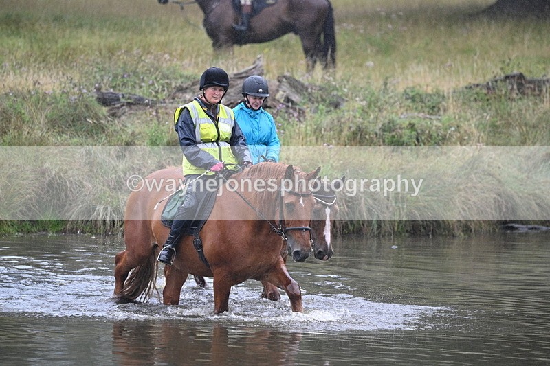 WJ7_8544 - Time at Water 11:24 to 11:52