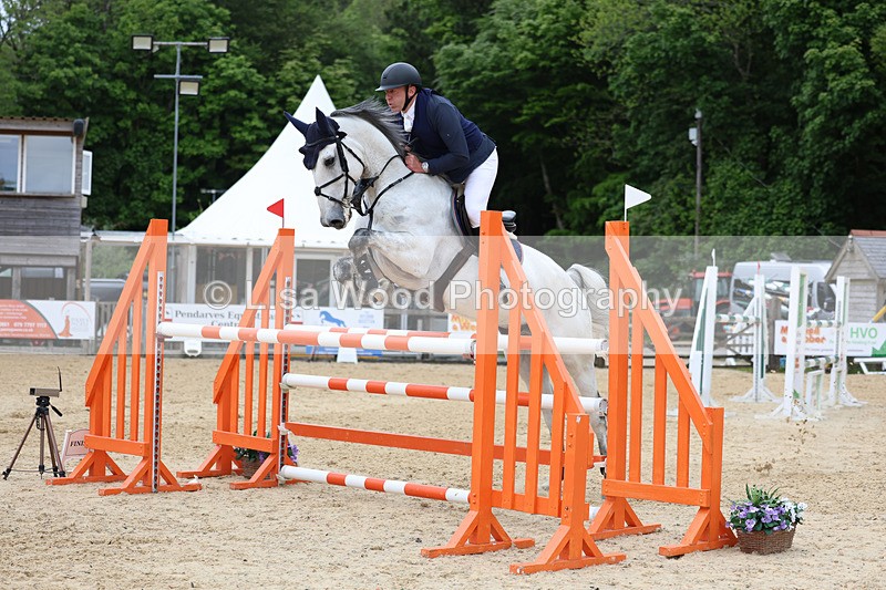 3E7A9635 - Class 9: Senior Foxhunter/1.20 open