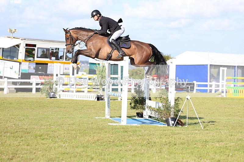 3E7A4319 - Class C: Showjumping Senior Foxhunter